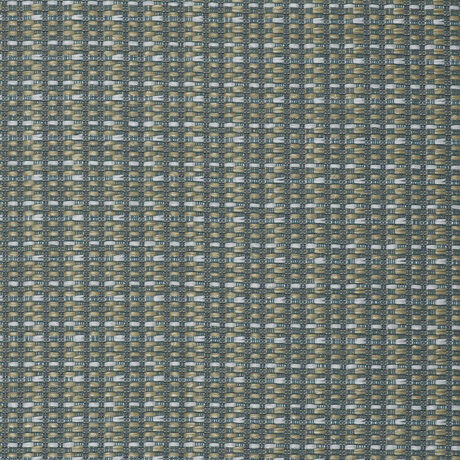 Gaston Y Daniela Fabric Mauregato Agua LORENZO CASTILLO V COTTON - 54%;POLYAMIDE - 28%;POLYESTER - 18% Italy HEAVY Horizontal: 1.18 and Vertical: 1.18 54.33 - My Fabric Connection -