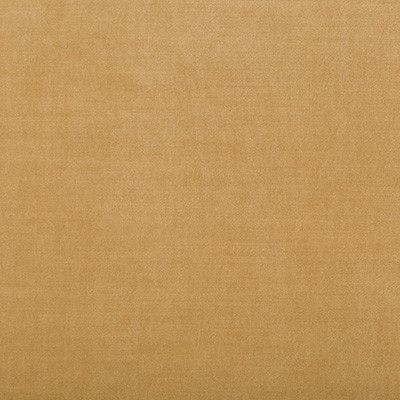 Kravet Design Fabric Calmative Camel
