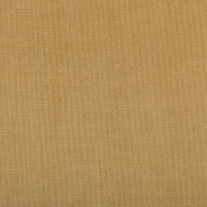 Kravet Design Fabric Calmative Camel KATE SPADE AMUSEMENTS POLYESTER - 100% China HEAVY Horizontal: and Vertical: 55.12 - My Fabric Connection -