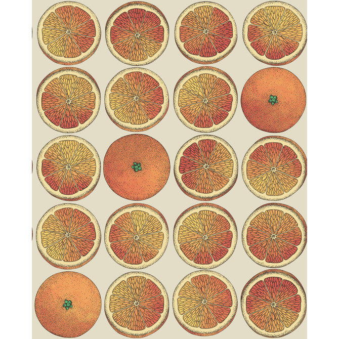 Cole & Son Wallcovering Arance Orange/Cream COLE & SON FORNASETTI SENZA TEMPO PAPER - 100% United Kingdom Horizontal: 20.5 and Vertical: 25.2 20.5 - My Fabric Connection -