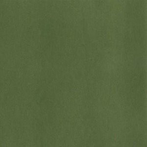 Norbar Fabric Element Lime 541 100% POLYURETHANE KOREA 54" - My Fabric Connection -