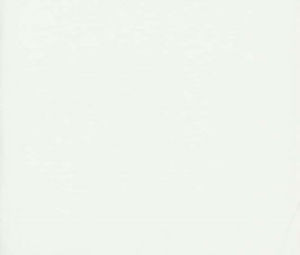 Norbar Fabric Lenox Ice 100% COMBED COTTON INDIA 54 - My Fabric Connection -