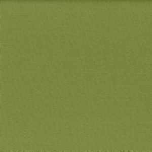 Norbar Fabric Lenox Sprout 100% COMBED COTTON INDIA 54 - My Fabric Connection -