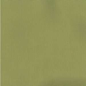 Norbar Fabric Pablo Pear 288 PABLO 100% COTTON TURKMANISTAN 54" - My Fabric Connection -