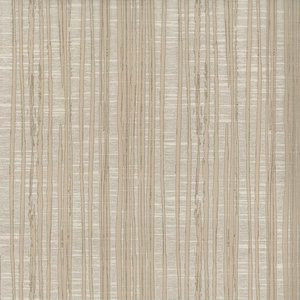 Norbar Fabric Petra Latte DESTINY 58% POLYESTER 42% COTTON INDIA 10 1/4"V 9 1/8"H 54 - My Fabric Connection -