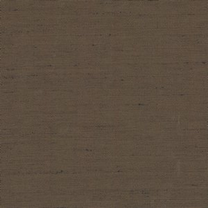 Norbar Fabric Ramos Latte 15 100% POLYESTER INDIA 54" - My Fabric Connection -