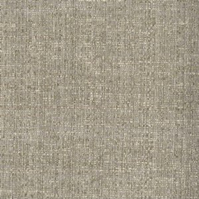 Norbar Fabric Riddle Coin RIDDLE 66% COTTON 34% POLYESTER 54 - My Fabric Connection -