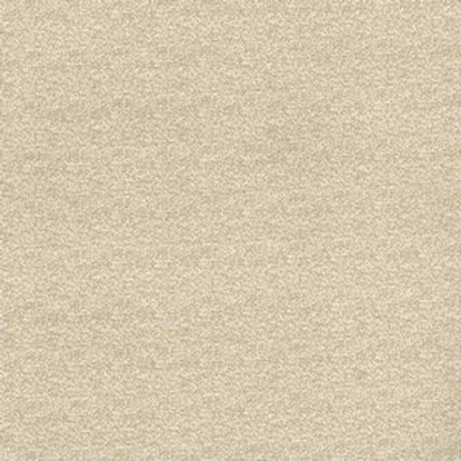 Norbar Fabric Rosino Beige 11 59% POLYACRYLIC GERMANY 54 - My Fabric Connection -