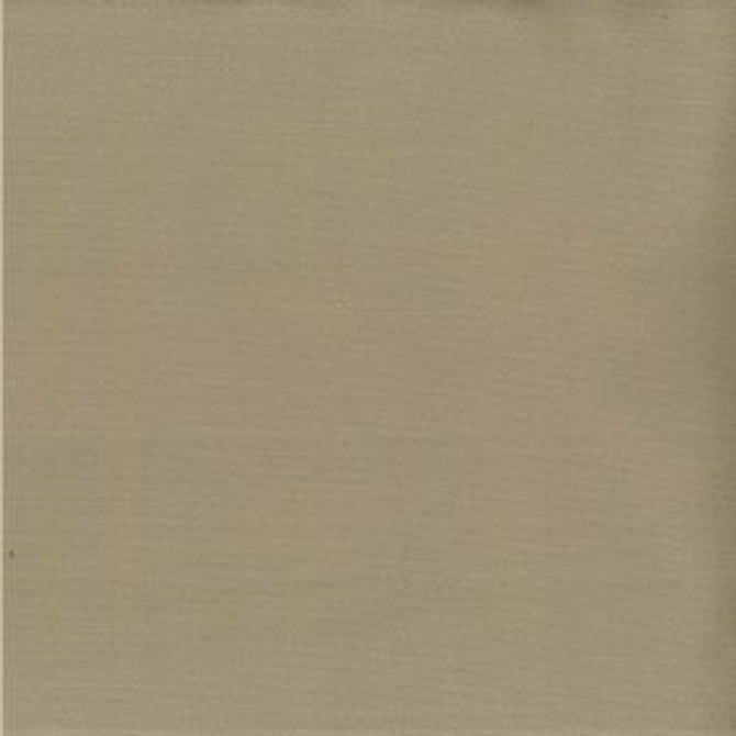 Norbar Fabric Saigon Putty 60% COTTON 40% POLYESTER TAIWAN 54" - My Fabric Connection -