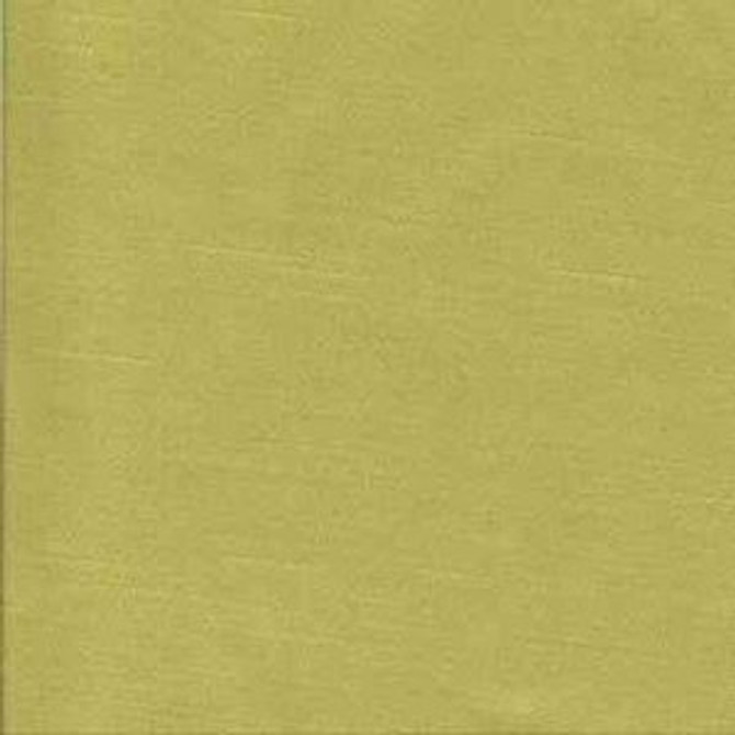 Norbar Fabric Studio Spring 60% COTTON 40% POLYESTER TAIWAN 56" - My Fabric Connection -