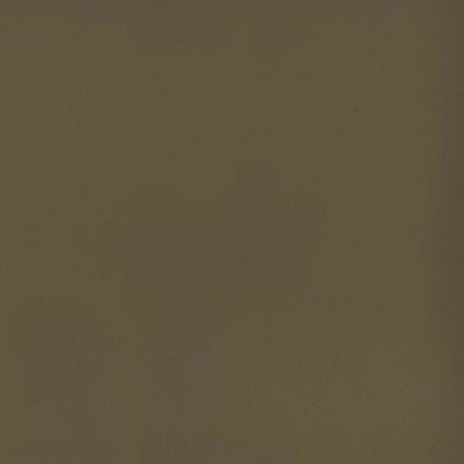 Norbar Fabric Tally Sandstone 608 ENVICTA 100% POLYURETHANE CHINA 54 - My Fabric Connection -