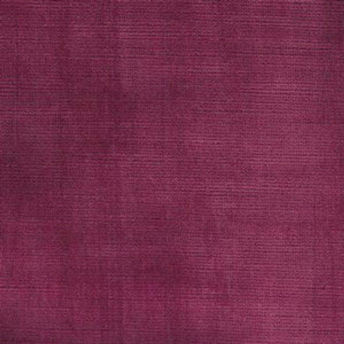 Norbar Fabric Tioga Magenta 526 CHINA 55 - My Fabric Connection -