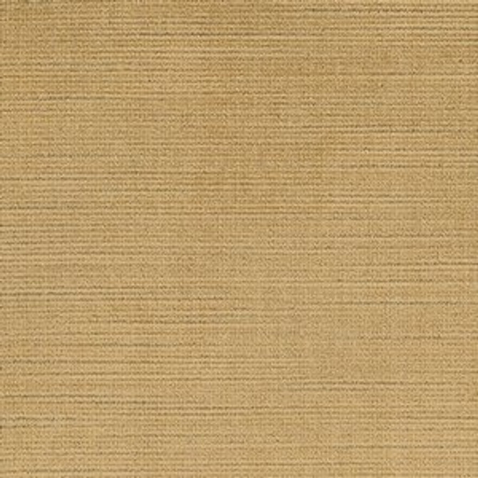 Norbar Fabric Tioga Maze 121 CHINA 55 - My Fabric Connection -