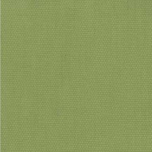 Norbar Fabric Voyage Parrot 308 100% COTTON 54" - My Fabric Connection -