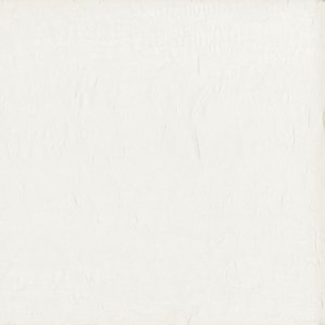 Norbar Fabric Wistful Coconut SHEER IMAGE 100% POLYESTER TURKEY 114 - My Fabric Connection -