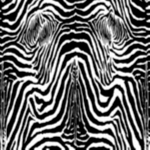 Norbar Fabric Zena Black 01 EXOTIC 95% POLYESTER 5% COTTON SPAIN 55"V 36"H 55 - My Fabric Connection -