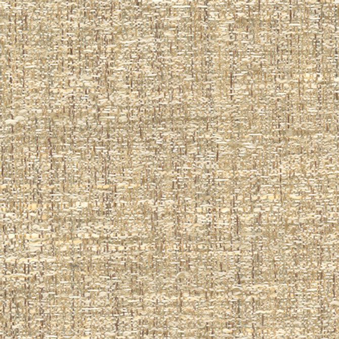 Carole Fabric Pop Fly Beige Texture Theory,Let's Mingle 100% Polyester India None 57" - My Fabric Connection -