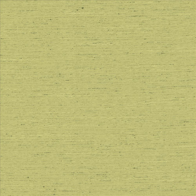 Kasmir Fabric Adjoin Willow See sample 100% Polyester
 INDIA 5,000 Wyzenbeek Double Rubs </p><p>Repeat: Horizontal: N/A and Vertical: N/A 54 - My Fabric Connection -