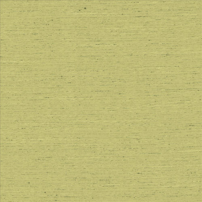 Kasmir Fabric Adjoin Willow 5170 100% Polyester
 INDIA 5,000 Wyzenbeek Double Rubs </p><p>Repeat: Horizontal: N/A and Vertical: N/A 54 - My Fabric Connection -