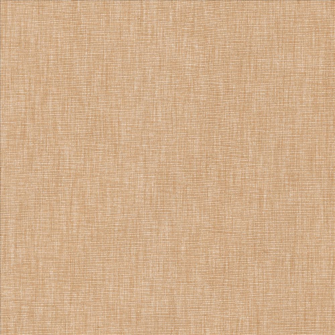 Kasmir Fabric Beltran Ash Rose 5163 100% Polyester
 INDIA 20,000 Wyzenbeek Double Rubs </p><p>Repeat: Horizontal: N/A and Vertical: N/A 54 - My Fabric Connection -