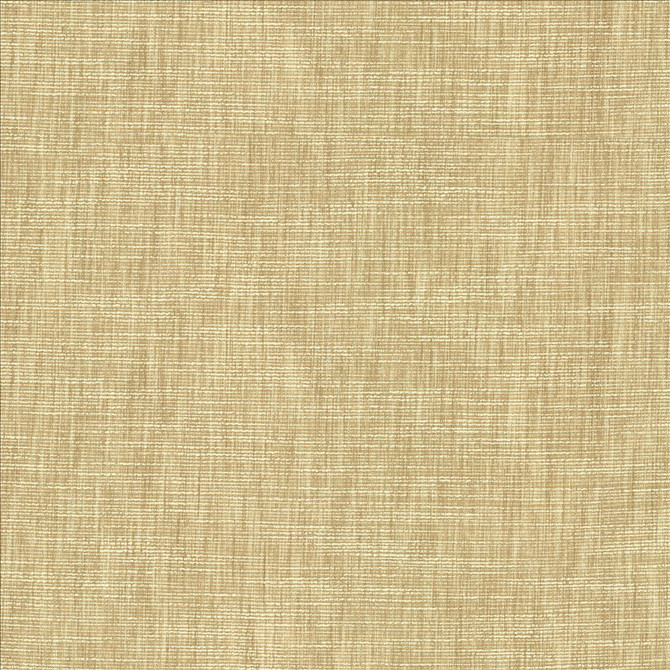 Kasmir Fabric Beltran Bisque 5163 100% Polyester
 INDIA </p><p>Repeat: Horizontal: N/A and Vertical: N/A 54 - My Fabric Connection -