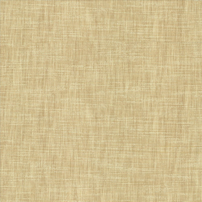 Kasmir Fabric Beltran Bisque 5163 100% Polyester
 INDIA 20,000 Wyzenbeek Double Rubs </p><p>Repeat: Horizontal: N/A and Vertical: N/A 54 - My Fabric Connection -