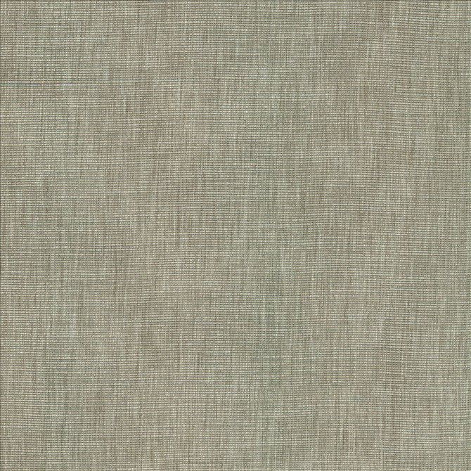 Kasmir Fabric Beltran Elephant See sample 100% Polyester
 INDIA 20,000 Wyzenbeek Double Rubs </p><p>Repeat: Horizontal: N/A and Vertical: N/A 54 - My Fabric Connection -