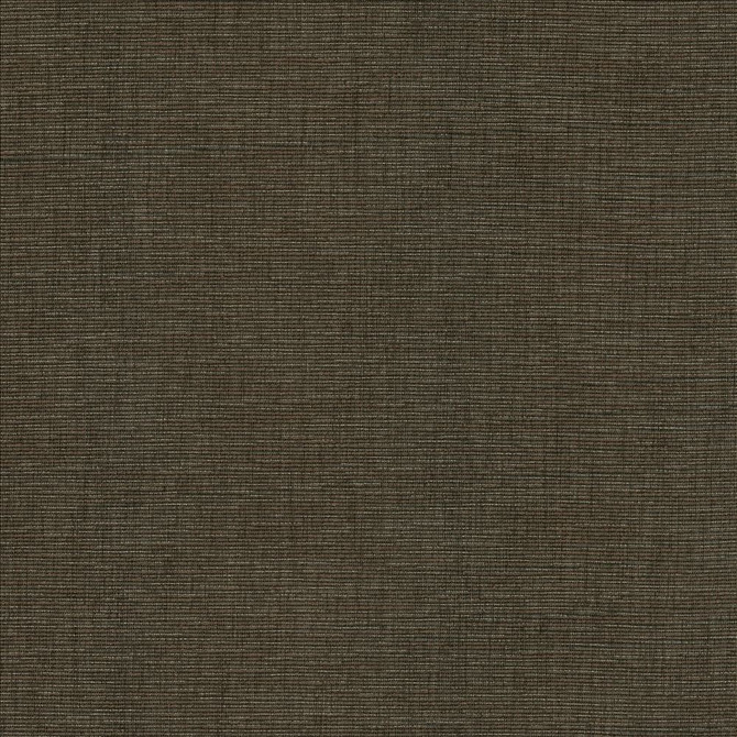 Kasmir Fabric Beltran Falcon 5163 100% Polyester
 INDIA 20,000 Wyzenbeek Double Rubs Horizontal: N/A and Vertical: N/A 54 - My Fabric Connection -