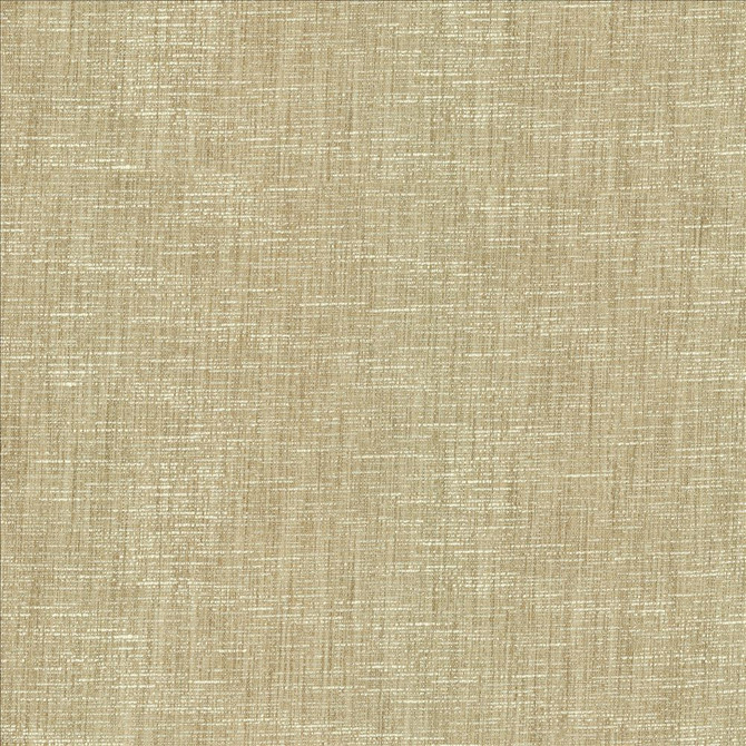 Kasmir Fabric Beltran Fawn 5163 100% Polyester
 INDIA 20,000 Wyzenbeek Double Rubs Horizontal: N/A and Vertical: N/A 54 - My Fabric Connection -