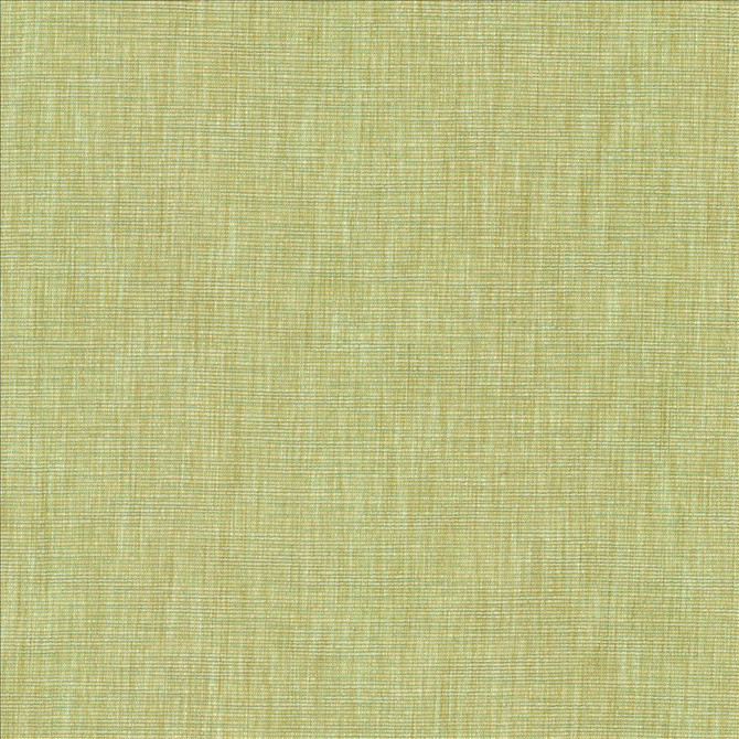 Kasmir Fabric Beltran New Bud 5163 100% Polyester
 INDIA </p><p>Repeat: Horizontal: N/A and Vertical: N/A 54 - My Fabric Connection -