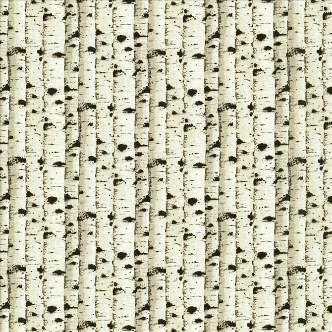 Kasmir Fabric Birch Midnight 1457 100% Cotton
 CHINA 11,500 Wyzenbeek Double Rubs </p><p>Repeat: Horizontal: 7 1/8 inches and Vertical: 5 2/8 inches 57 - My Fabric Connection -