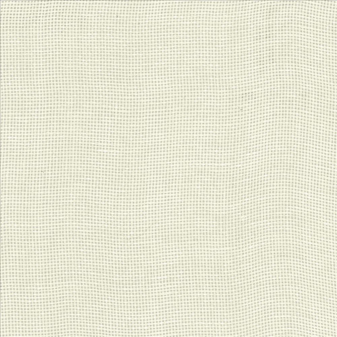 Kasmir Fabric Bruno Ivory 1459 100% Linen
 POLAND </p><p>Repeat: Horizontal: N/A and Vertical: N/A 55 - My Fabric Connection -