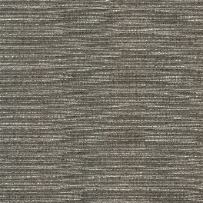 Kasmir Fabric Burke Graphite 5163 100% Polyester
 INDIA Not Tested </p><p>Repeat: Horizontal: N/A and Vertical: N/A 54 - My Fabric Connection -