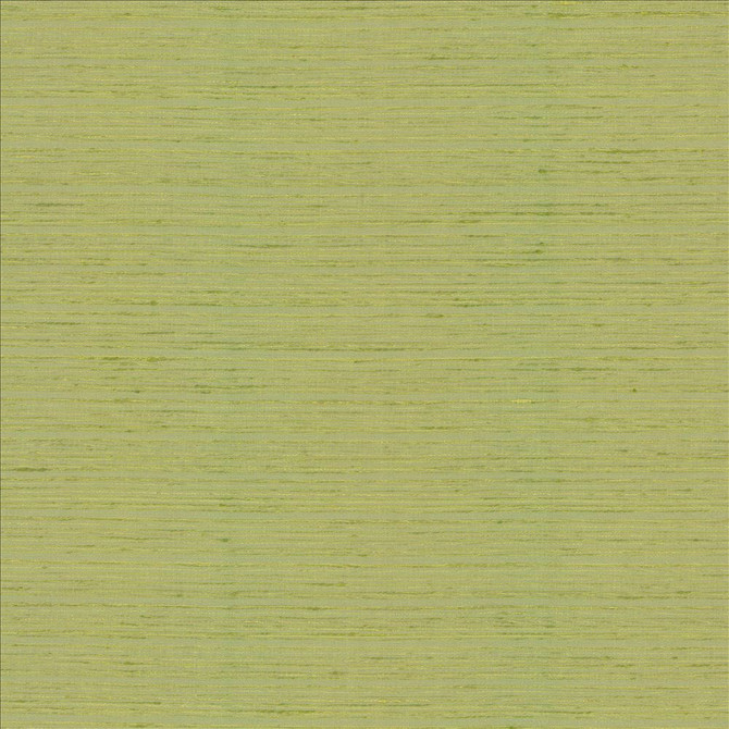 Kasmir Fabric Burke Lemongrass 5163 100% Polyester
 INDIA </p><p>Repeat: Horizontal: N/A and Vertical: N/A 54 - My Fabric Connection -