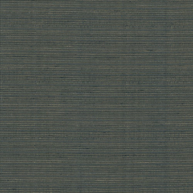 Kasmir Fabric Burke Pewter 5163 100% Polyester
 INDIA Not Tested </p><p>Repeat: Horizontal: N/A and Vertical: N/A 54 - My Fabric Connection -