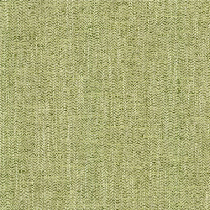 Kasmir Fabric By A Mile Grass 5162 100% Polyester
 INDIA 51,000 Wyzenbeek Double Rubs </p><p>Repeat: Horizontal: N/A and Vertical: N/A 54 - My Fabric Connection -