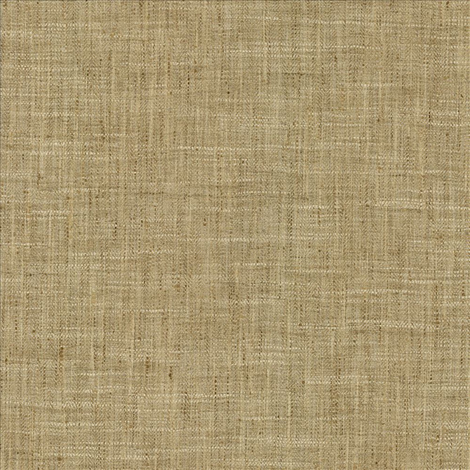 Kasmir Fabric By A Mile Raffia 5162 100% Polyester
 INDIA </p><p>Repeat: Horizontal: N/A and Vertical: N/A 54 - My Fabric Connection -