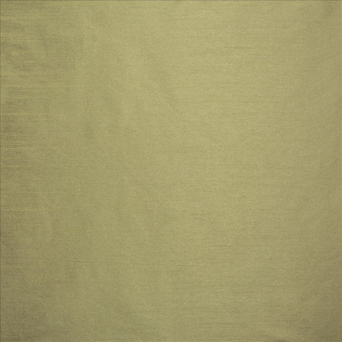 Kasmir Fabric Complementary Aloe 5168 100% Polyester
 INDIA Not Tested </p><p>Repeat: Horizontal: N/A and Vertical: N/A 54 - My Fabric Connection -