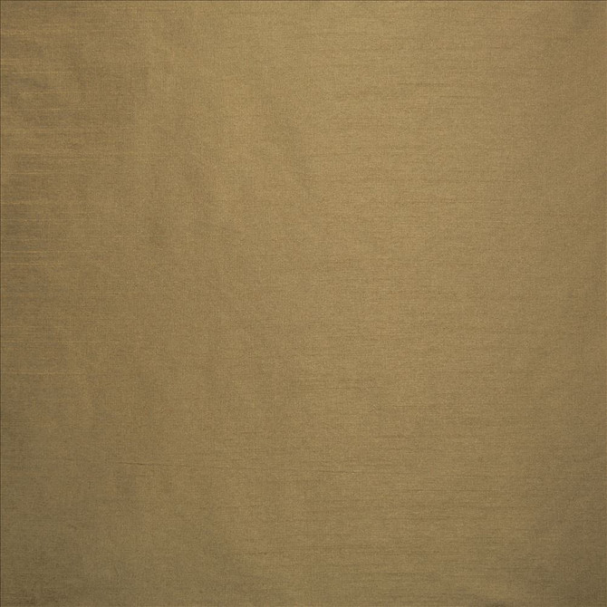Kasmir Fabric Complementary Dark Beige 5168 100% Polyester
 INDIA Not Tested Horizontal: N/A and Vertical: N/A 54 - My Fabric Connection -