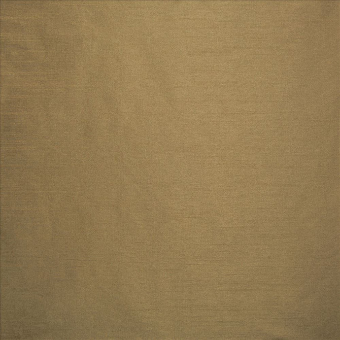 Kasmir Fabric Complementary Dark Beige 5168 100% Polyester
 INDIA Not Tested </p><p>Repeat: Horizontal: N/A and Vertical: N/A 54 - My Fabric Connection -