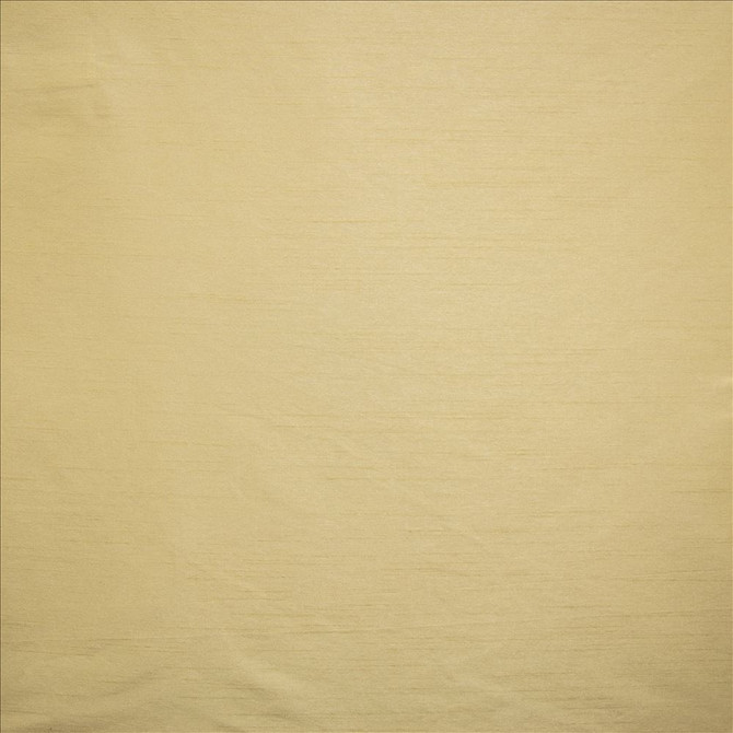 Kasmir Fabric Complementary Driftwood See sample 100% Polyester
 INDIA Not Tested </p><p>Repeat: Horizontal: N/A and Vertical: N/A 54 - My Fabric Connection -