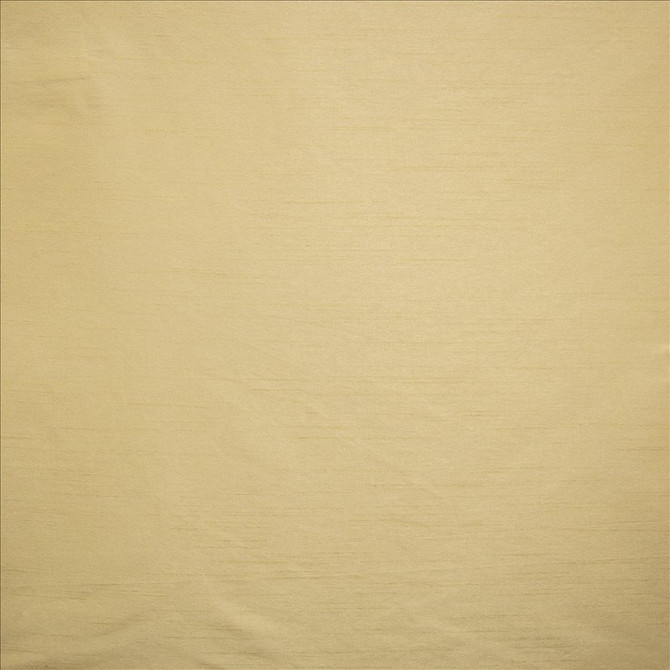 Kasmir Fabric Complementary Driftwood 5168 100% Polyester
 INDIA Not Tested </p><p>Repeat: Horizontal: N/A and Vertical: N/A 54 - My Fabric Connection -