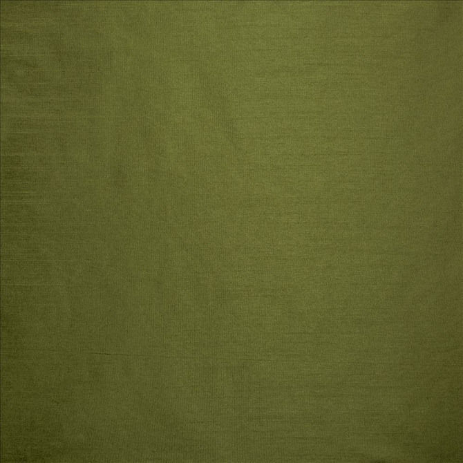 Kasmir Fabric Complementary Grass 5168 100% Polyester
 INDIA Not Tested Horizontal: N/A and Vertical: N/A 54 - My Fabric Connection -