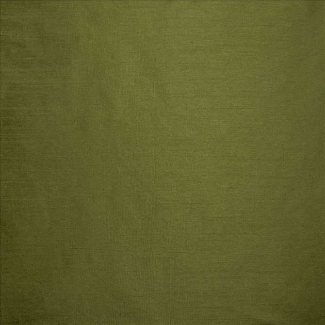 Kasmir Fabric Complementary Grass 5168 100% Polyester
 INDIA Not Tested </p><p>Repeat: Horizontal: N/A and Vertical: N/A 54 - My Fabric Connection -