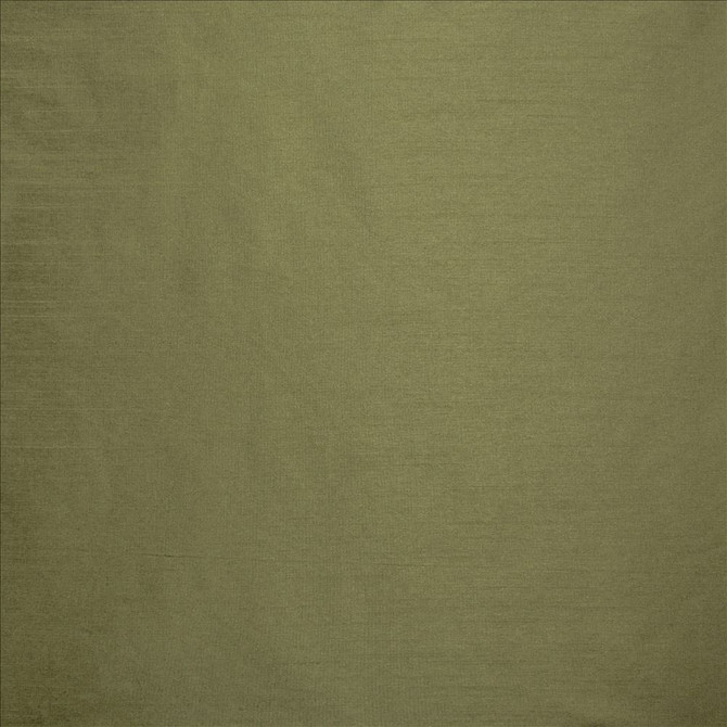 Kasmir Fabric Complementary Lichen 5168 100% Polyester
 INDIA Not Tested </p><p>Repeat: Horizontal: N/A and Vertical: N/A 54 - My Fabric Connection -