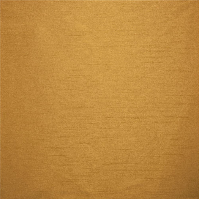 Kasmir Fabric Complementary Marigold 5168 100% Polyester
 INDIA </p><p>Repeat: Horizontal: N/A and Vertical: N/A 54 - My Fabric Connection -