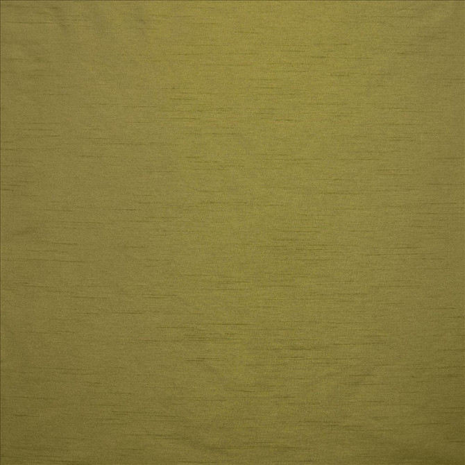 Kasmir Fabric Complementary Oak 5168 100% Polyester
 INDIA Not Tested </p><p>Repeat: Horizontal: N/A and Vertical: N/A 54 - My Fabric Connection -