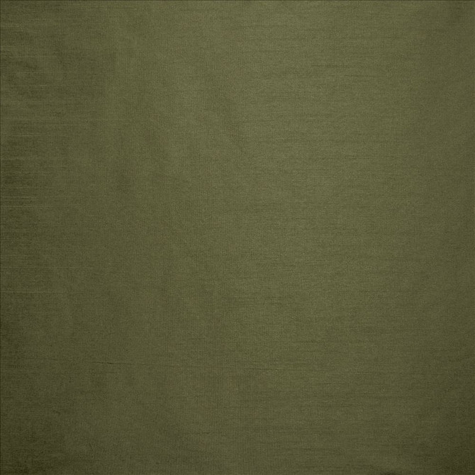 Kasmir Fabric Complementary Pine 5168 100% Polyester
 INDIA Not Tested </p><p>Repeat: Horizontal: N/A and Vertical: N/A 54 - My Fabric Connection -