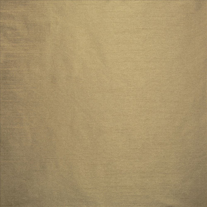 Kasmir Fabric Complementary Taupe 5168 100% Polyester
 INDIA Not Tested </p><p>Repeat: Horizontal: N/A and Vertical: N/A 54 - My Fabric Connection -