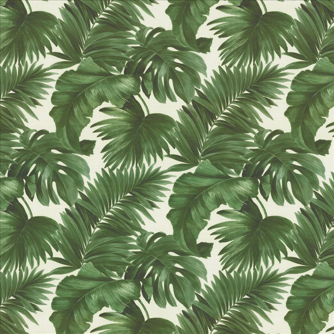Kasmir Fabric Keanu Palm 110 Moss 1453 65% Polyester
35% Cotton
 SPAIN 40,000 Martindale Cycles Horizontal: 27 5/8 inches and Vertical: 24 4/8 inches 110 - My Fabric Connection -